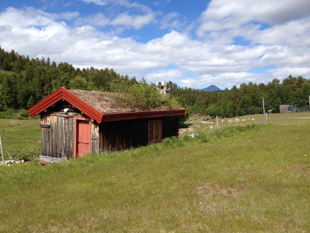 Rondane Friluftssenter Rondetunet Brenn Стая снимка