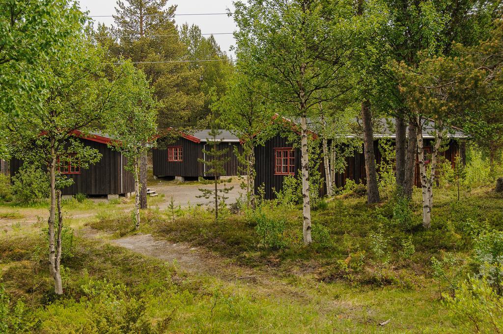 Rondane Friluftssenter Rondetunet Brenn Стая снимка