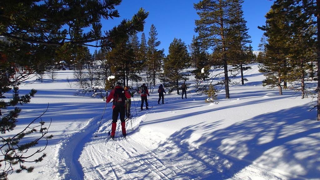 Rondane Friluftssenter Rondetunet Brenn Екстериор снимка