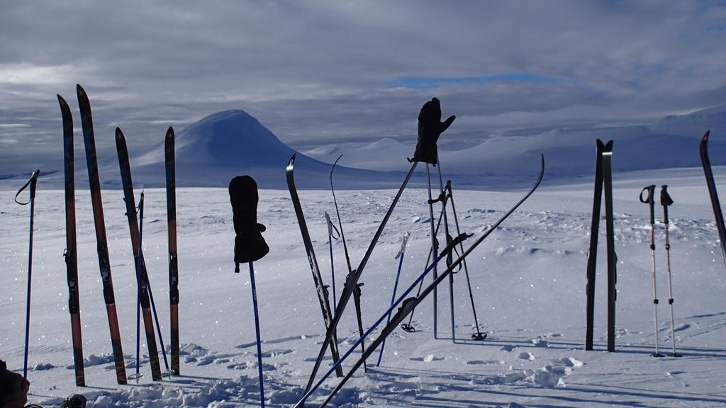 Rondane Friluftssenter Rondetunet Brenn Екстериор снимка